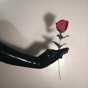 Meet your Posher, Leonardo